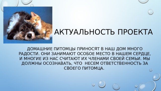 Актуальность проекта Домашние питомцы приносят в наш дом много радости. Они занимают особое место в нашем сердце, и многие из нас считают их членами своей семьи. Мы должны осознавать, что несем ответственность за своего питомца. 