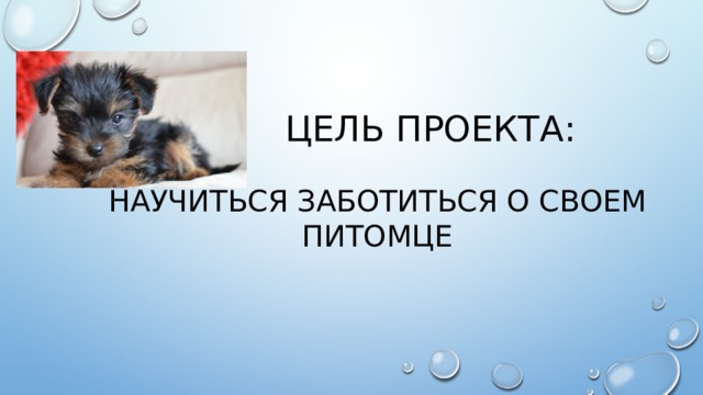 Цель проекта: научиться заботиться о своем питомце 