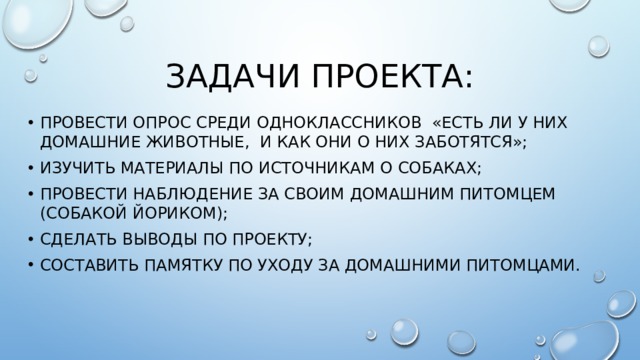 Задачи проекта: провести опрос среди одноклассников «Есть ли у них домашние животные, и как они о них заботятся»; изучить материалы по источникам о собаках; провести наблюдение за своим домашним питомцем (собакой Йориком); сделать выводы по проекту; составить памятку по уходу за домашними питомцами. 