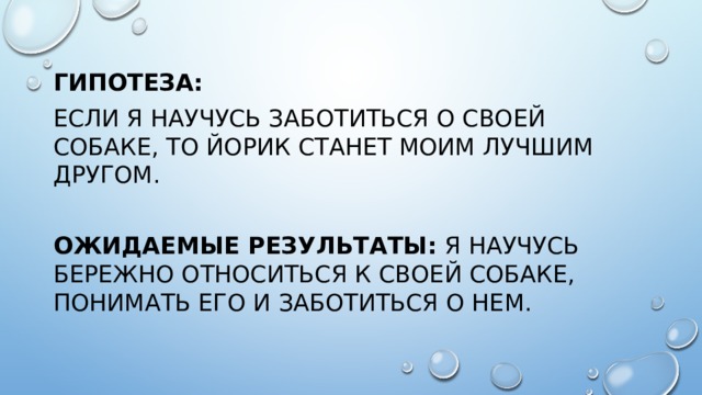 Гипотеза: Если я научусь заботиться о своей собаке, то Йорик станет моим лучшим другом.  Ожидаемые результаты: я научусь бережно относиться к своей собаке, понимать его и заботиться о нем. 
