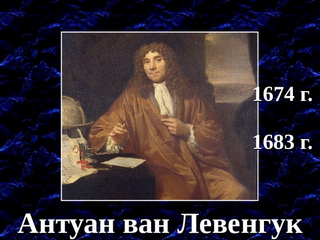 1674 г. 1683 г. 1674 год – рассмотрел отдельные клетки: эритроциты, сперматозоиды, простейших. Антуан ван Левенгук  