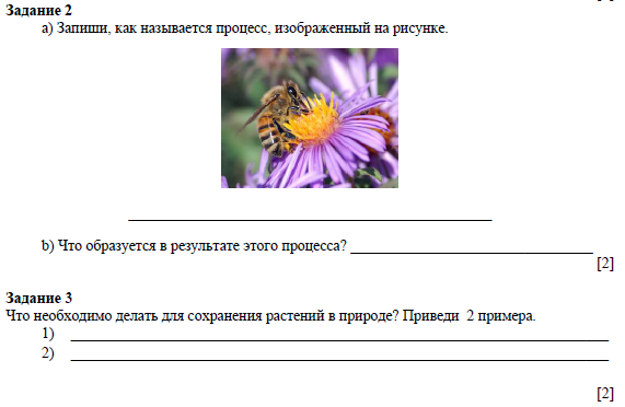 Работа по естествознанию. Задания по естествознанию 4 класс. Задания по естествознанию 3 класс. Карточки по естествознанию. Задачи по естествознанию 4 класс.