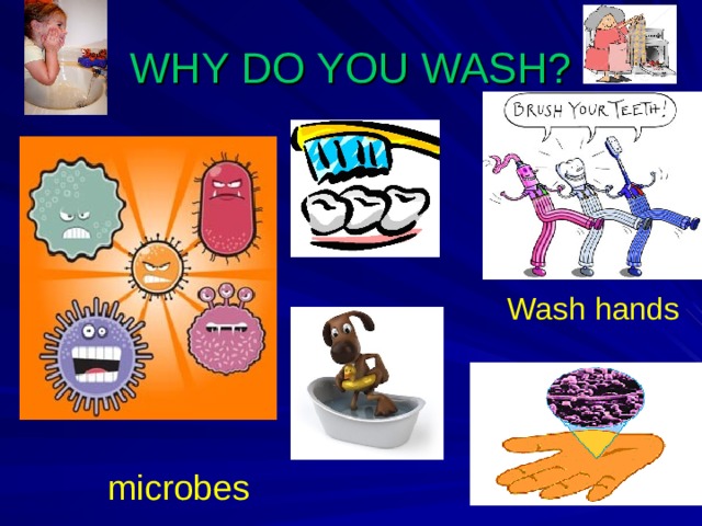 WHY DO YOU WASH?  Wash hands microbes 