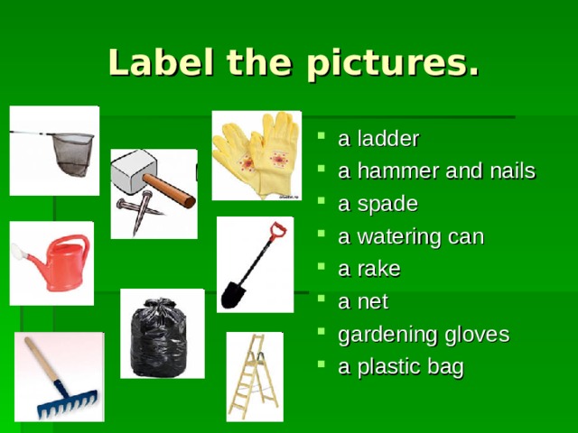 Label the pictures. a ladder a hammer and nails a spade a watering can a rake a net gardening gloves a plastic bag 