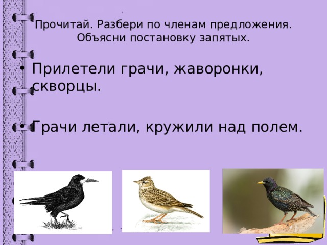 Скворец разбор. Предложения с прилетел. Предложение со словом прилетели. Прилетают птицы предложение. Предложения про грачей.