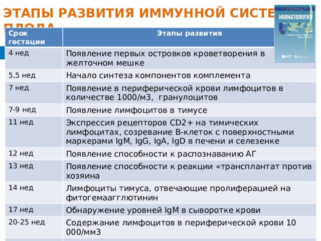 ЭТАПЫ РАЗВИТИЯ ИММУННОЙ СИСТЕМЫ ПЛОДА   Срок гестации Этапы развития 4 нед Появление первых островков кроветворения в желточном мешке 5,5 нед Начало синтеза компонентов комплемента 7 нед Появление в периферической крови лимфоцитов в количестве 1000/м3, гранулоцитов 7-9 нед Появление лимфоцитов в тимусе 11 нед 12 нед Экспрессия рецепторов CD2+ на тимических лимфоцитах, созревание В-клеток с поверхностными маркерами IgM, IgG, IgA, IgD в печени и селезенке Появление способности к распознаванию АГ 13 нед Появление способности к реакции «трансплантат против хозяина 14 нед Лимфоциты тимуса, отвечающие пролиферацией на фитогемаагглютинин 17 нед Обнаружение уровней IgM в сыворотке крови 20-25 нед Содержание лимфоцитов в периферической крови 10 000/мм3 22 нед Возможность определения в сыворотке крови значимых уровней компонентов комплемента 30 нед В сыворотке крови можно определить уровни IgA М.В.Дегтярева, И.Г.Солдатова  