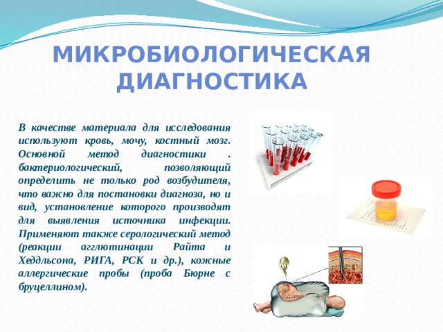 МИКРОБИОЛОГИЧЕСКАЯ ДИАГНОСТИКА В качестве материала для исследования используют кровь, мочу, костный мозг. Основной метод диагностики . бактериологический, позволяющий определить не только род возбудителя, что важно для постановки диагноза, но и вид, установление которого производят для выявления источника инфекции. Применяют также серологический метод (реакции агглютинации Райта и Хеддльсона, РИГА, РСК и др.), кожные аллергические пробы (проба Бюрне с бруцеллином). 