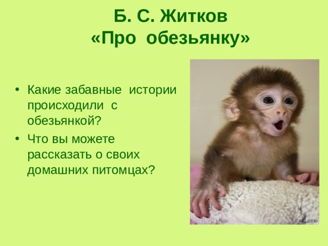 Б. С. Житков  «Про обезьянку»  Какие забавные истории происходили с обезьянкой? Что вы можете рассказать о своих домашних питомцах? 