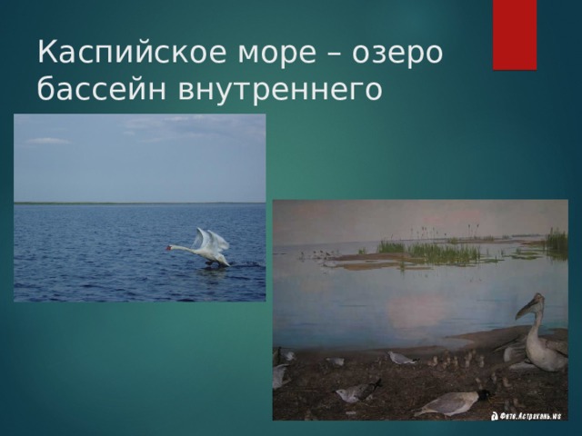 Каспийское море – озеро бассейн внутреннего стока 