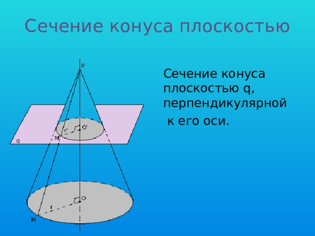 Сечение конуса плоскостью   Сечение конуса плоскостью q, перпендикулярной  к его оси.