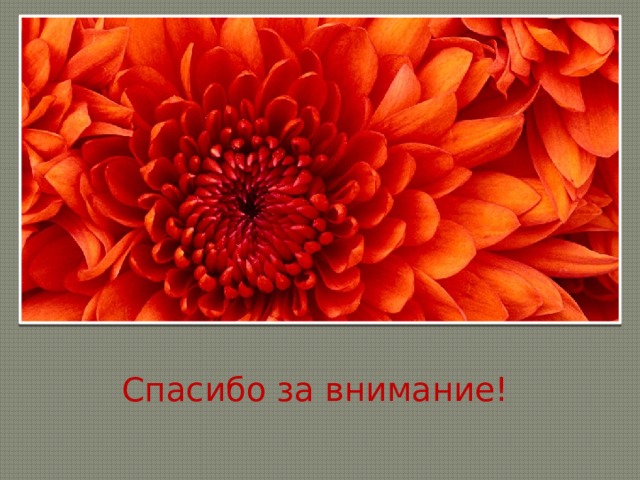 Спасибо за внимание! 