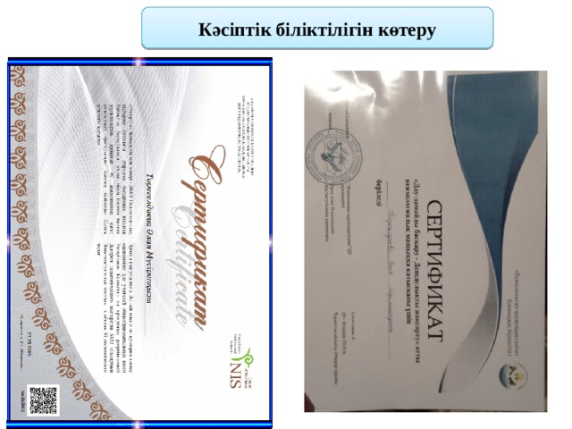 Кәсіптік біліктілігін көтеру 