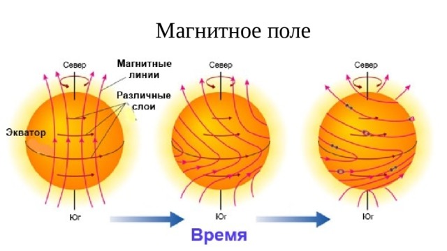 Магнитное поле Сила магнитного поля Солнца всего лишь в 2 раза превосходит Земную. Однако на отдельных небольших участках оно может концентрироваться и быть в 3 тыс. раз сильнее, чем обычно. Эти изменения в магнитном поле происходят потому,  что Солнце вращается быстрее на экваторе, чем на полюсах, а внутренние части вращаются быстрее поверхности.  Эти процессы создают такие элементы, начиная от солнечных пятен и заканчивая захватывающими  извержениями, известными как вспышки и корональные выбросы массы.  Вспышки – самые сильные извержения в Солнечной системе, корональные выбросы массы менее сильные, но включают большое количество материи – один выброс  может сопровождаться 20 млрд. тонн материи в космос.  