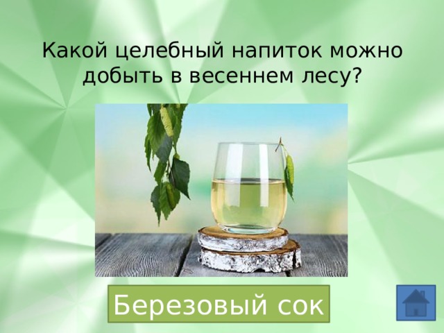 Какой целебный напиток можно добыть в весеннем лесу? Березовый сок 