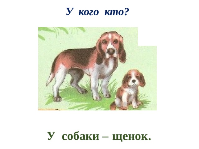 Собачонка проверочное. Кто кем становится. У кого кто собаки. Кто кем становится 2 класс. Домашние питомцы нач школа собака.