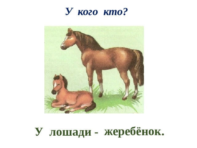 Анализ рассказа жеребенок. Кто такой жеребенок. Жеребенок Шолохов краткое содержание. Жеребёнок с подписью для детей картинки.