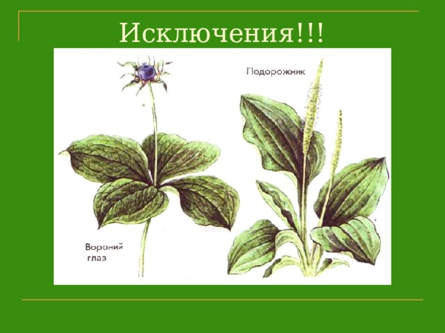 Исключения!!! 