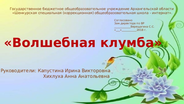 Государственное бюджетное общеобразовательное учреждение Архангельской области «Шенкурская специальная (коррекционная) общеобразовательная школа - интернат». Согласовано Зам.директора по ВР ____________Верещагина С.С. «___»___________2018 г. «Волшебная клумба» Руководители: Капустина Ирина Викторовна  Хихлуха Анна Анатольевна 