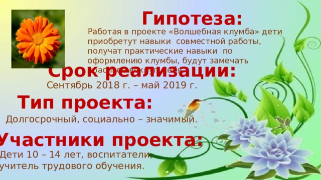 Гипотеза: Работая в проекте «Волшебная клумба» дети приобретут навыки совместной работы, получат практические навыки по оформлению клумбы, будут замечать красивое вокруг себя. Срок реализации: Сентябрь 2018 г. – май 2019 г. Тип проекта: Долгосрочный, социально – значимый. Участники проекта: Дети 10 – 14 лет, воспитатели, учитель трудового обучения. 
