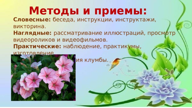 Методы и приемы: Словесные: беседа, инструкции, инструктажи, викторина. Наглядные: рассматривание иллюстраций, просмотр видеороликов и видеофильмов. Практические: наблюдение, практикумы, изготовление фигур для оформления клумбы. 