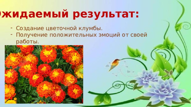 Ожидаемый результат: Создание цветочной клумбы. Получение положительных эмоций от своей работы. 