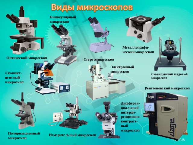 За счет какой детали микроскоп увеличивает изображение