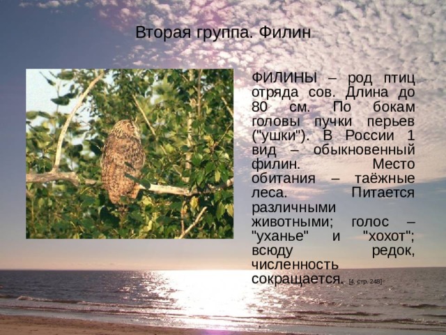 Проект животные из красной книги архангельской области Урок экологической направленности в рамках классного часа