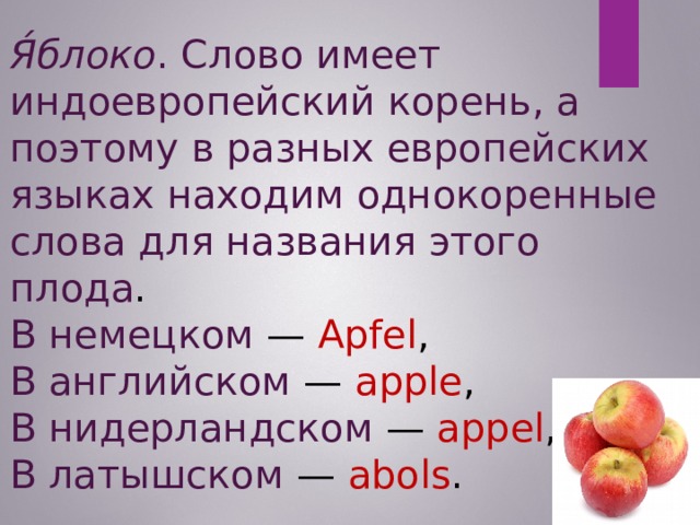 Я́блоко . Слово имеет индоевропейский корень, а поэтому в разных европейских языках находим однокоренные слова для названия этого плода . В немецком — Apfel , В английском — apple , В нидерландском — appel , В латышском — abols . 