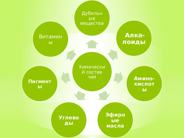 Исследование химического состава чая презентация по химии