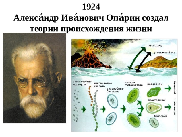 1924  Алекса́ндр Ива́нович Опа́рин создал теории происхождения жизни 