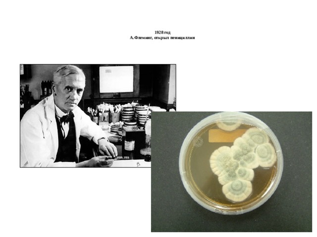      1928 год  А.Флеминг, открыл пенициллин     