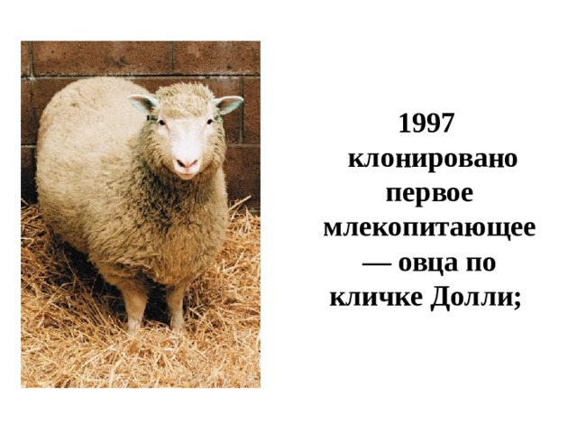 1997   клонировано первое млекопитающее — овца по кличке Долли; 