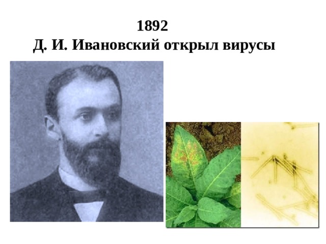1892  Д. И. Ивановский открыл вирусы   