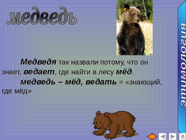  Медведя так назвали потому, что он знает, ведает , где найти в лесу мёд .  медведь – мёд, ведать = «знающий, где мёд» 