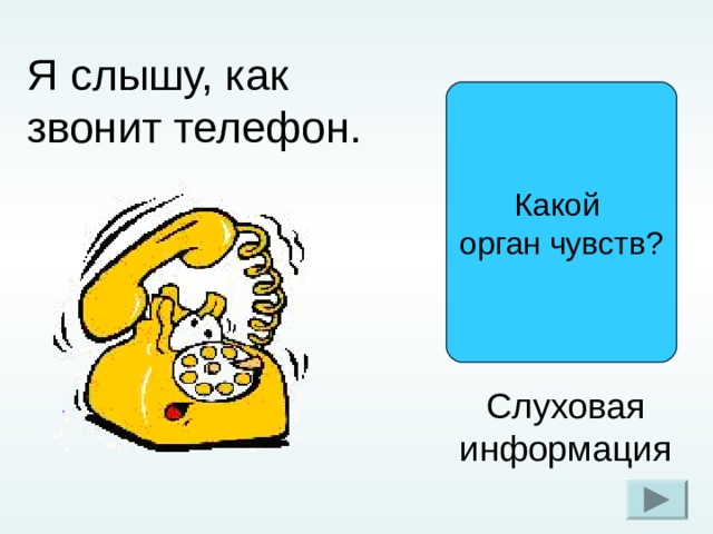 Я слышу, как звонит телефон. Какой орган чувств? Для ответа жми на скругленный прямоугольник с вопросом «Какой орган чувств?» Слуховая информация  