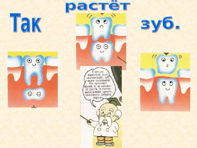 Учебно-исследовательский проект "Зубная щетка и ее вторая жизнь"
