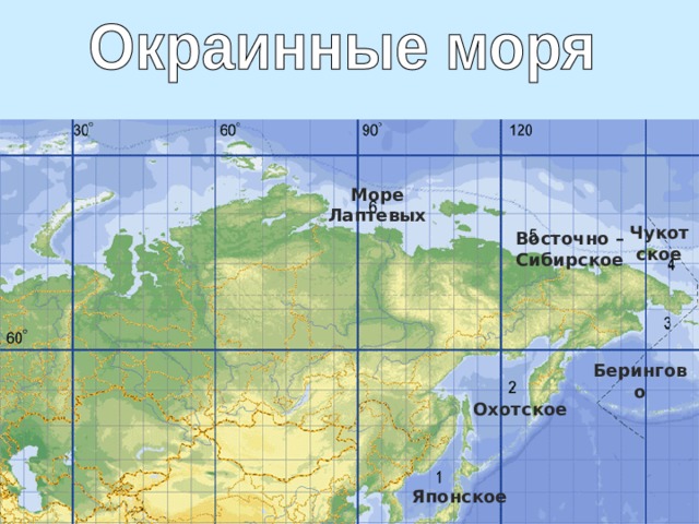 Море Лаптевых Чукотское Восточно –Сибирское Берингово Охотское Японское 