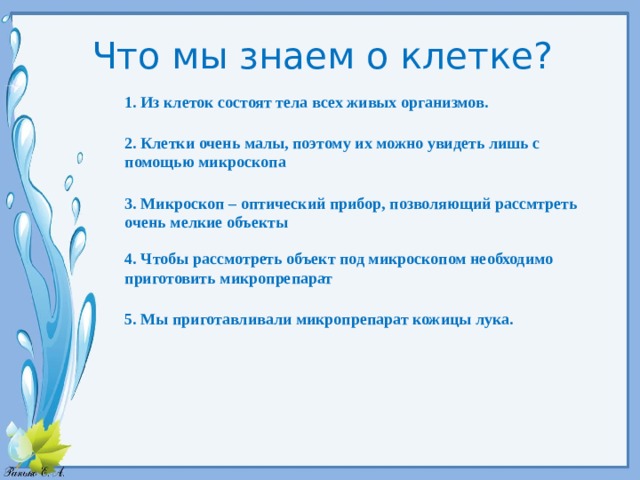 Что мы знаем о клетке? 1. Из клеток состоят тела всех живых организмов. 2. Клетки очень малы, поэтому их можно увидеть лишь с помощью микроскопа 3. Микроскоп – оптический прибор, позволяющий рассмтреть очень мелкие объекты 4. Чтобы рассмотреть объект под микроскопом необходимо приготовить микропрепарат 5. Мы приготавливали микропрепарат кожицы лука. 