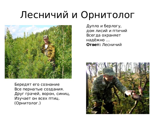 Лесничий и Орнитолог Дупло и берлогу, дом лисий и птичий  Всегда охраняет надёжно ...  Ответ:  Лесничий Бередят его сознание  Все пернатые создания.  Друг грачей, ворон, синиц,  Изучает он всех птиц.  (Орнитолог.) 