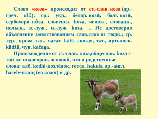 Слово козленок