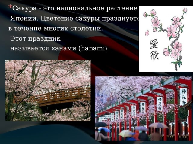 Сакура - это национальное растение  Японии. Цветение сакуры празднуется в течение многих столетий.  Этот праздник  называется ханами ( hanami ) 