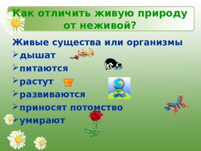 Тела живой природы 5 класс. Живые и неживые существа. Семя это живое или неживое тело. Семена Живая или неживая природа. Семена это живое или неживое тело.