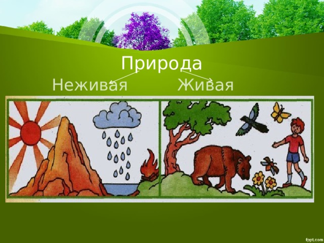 Взаимосвязи между человеком и природой окружающий мир 1 класс школа россии презентация