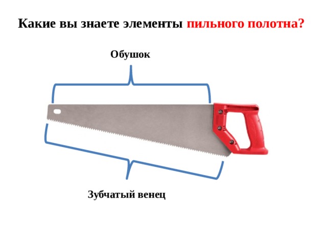  Зубчатый венец Какие вы знаете элементы пильного полотна?  Обушок 