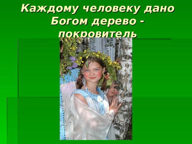 Каждому человеку дано Богом дерево - покровитель 