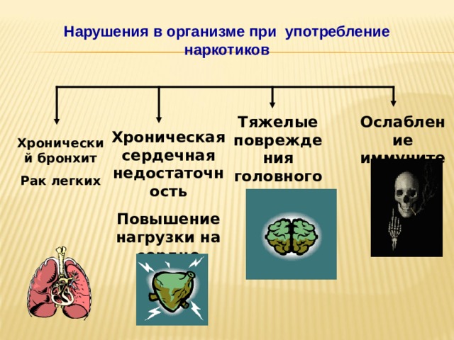 Нарушения в организме при употребление наркотиков Тяжелые повреждения головного мозга Ослабление иммунитета Хроническая сердечная недостаточность Повышение нагрузки на сердце Хронический бронхит Рак легких 