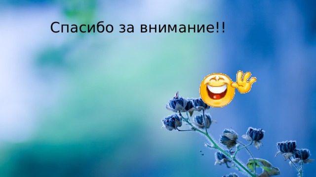 Спасибо за внимание!! 