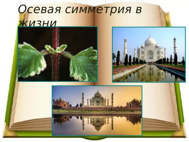 Осевая симметрия в жизни  
