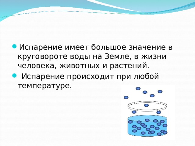 Испарение происходит. Как происходит испарение. Какое значение имеет испарение для растений. Растение испаряет воды больше при температуре.