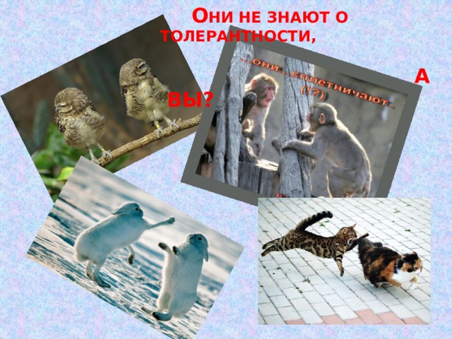  О НИ НЕ ЗНАЮТ О ТОЛЕРАНТНОСТИ,  А ВЫ? 